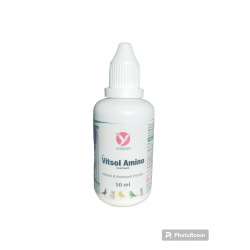 Vitsol Amino Vitamin Oral Çözelti 